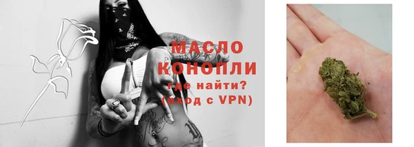 эйфоретик Арсеньев