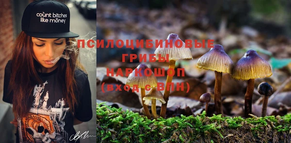 эйфоретик Арсеньев